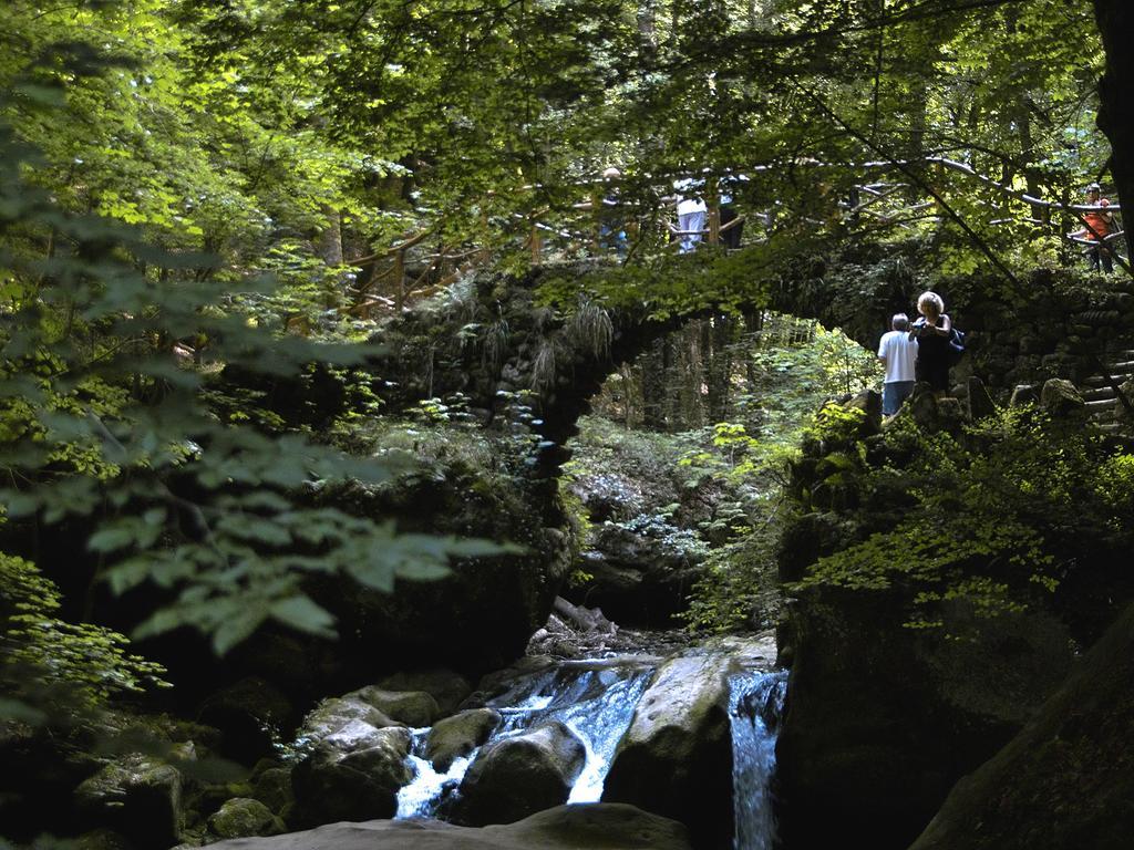 Landhaus Waldlehne Biersdorf am See ภายนอก รูปภาพ
